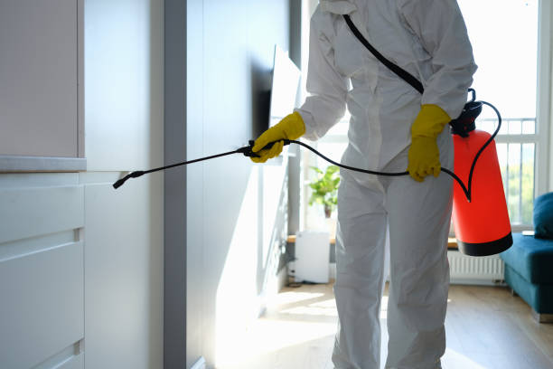 Mold Removal and Inspection in Huntington, WV
