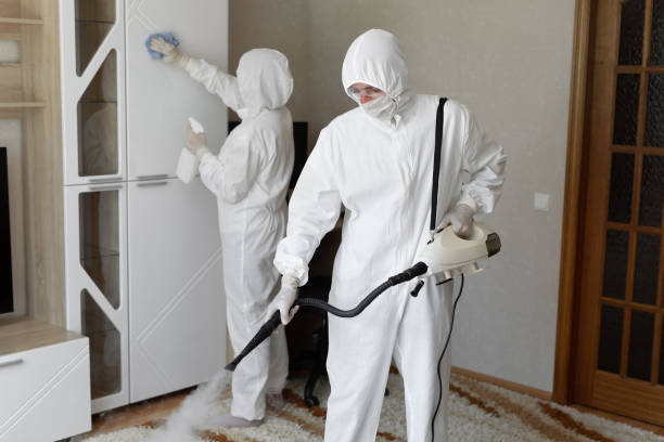 Best Professional Mold Removal  in Huntington, WV